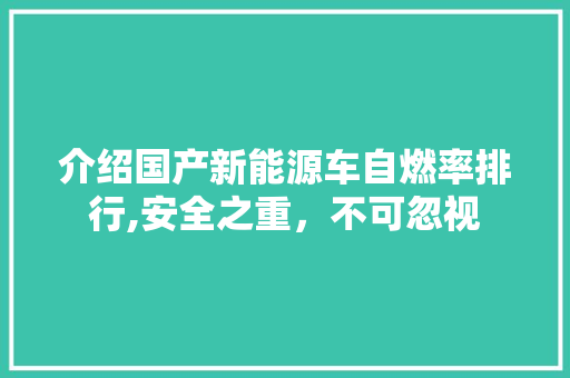 介绍国产新能源车自燃率排行,安全之重，不可忽视