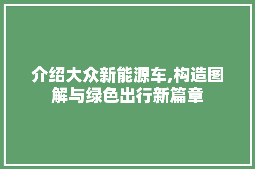 介绍大众新能源车,构造图解与绿色出行新篇章