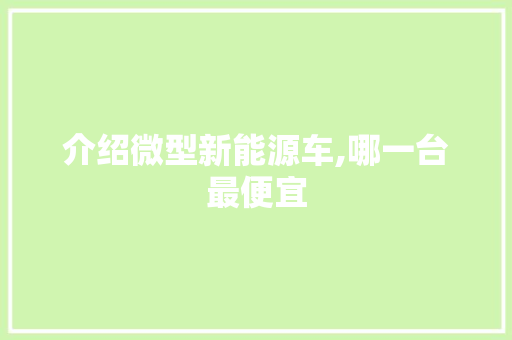 介绍微型新能源车,哪一台最便宜
