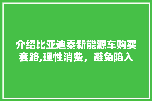 介绍比亚迪秦新能源车购买套路,理性消费，避免陷入营销陷阱