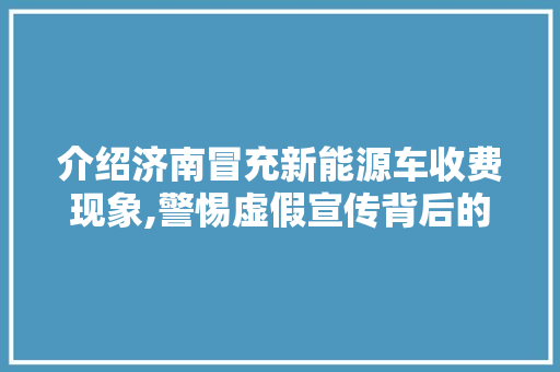 介绍济南冒充新能源车收费现象,警惕虚假宣传背后的陷阱
