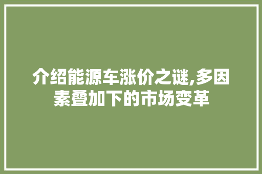 介绍能源车涨价之谜,多因素叠加下的市场变革