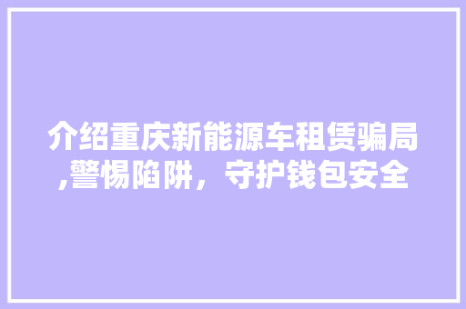 介绍重庆新能源车租赁骗局,警惕陷阱，守护钱包安全
