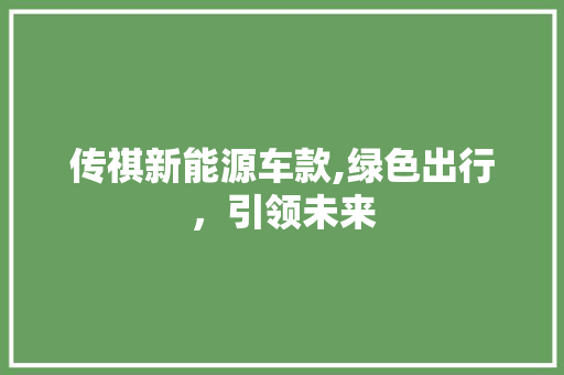 传祺新能源车款,绿色出行，引领未来