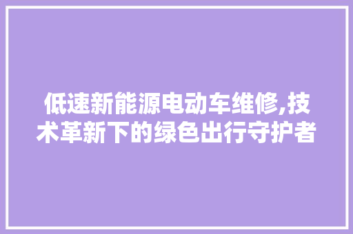 低速新能源电动车维修,技术革新下的绿色出行守护者