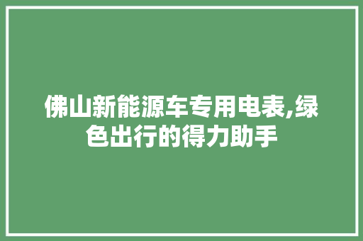 佛山新能源车专用电表,绿色出行的得力助手