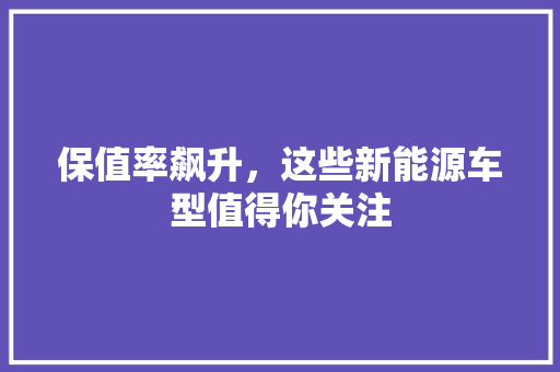 保值率飙升，这些新能源车型值得你关注