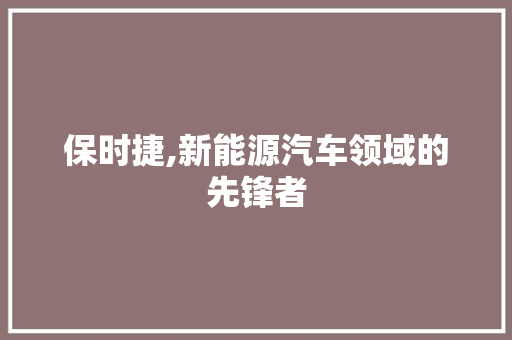 保时捷,新能源汽车领域的先锋者