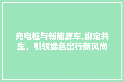 充电桩与新能源车,绑定共生，引领绿色出行新风尚