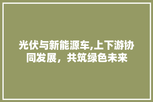 光伏与新能源车,上下游协同发展，共筑绿色未来