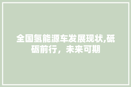 全国氢能源车发展现状,砥砺前行，未来可期