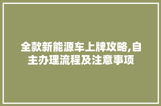 全款新能源车上牌攻略,自主办理流程及注意事项 新能源汽车