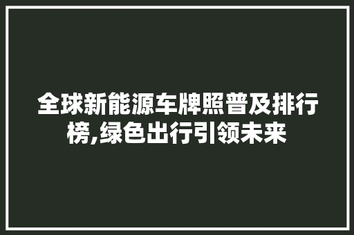 全球新能源车牌照普及排行榜,绿色出行引领未来