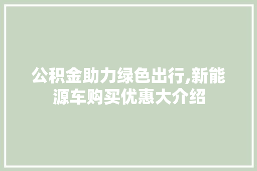 公积金助力绿色出行,新能源车购买优惠大介绍