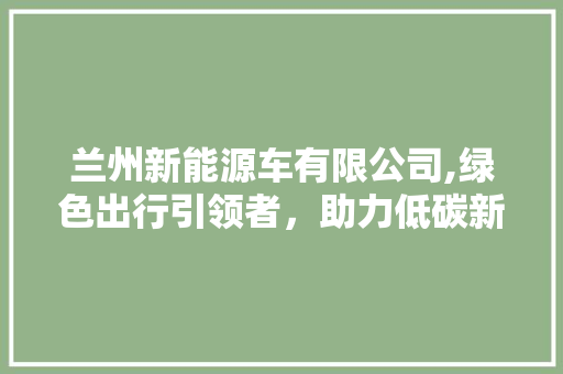 兰州新能源车有限公司,绿色出行引领者，助力低碳新时代 汽车配件