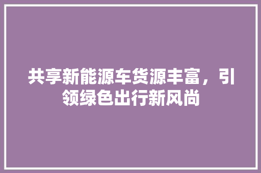 共享新能源车货源丰富，引领绿色出行新风尚