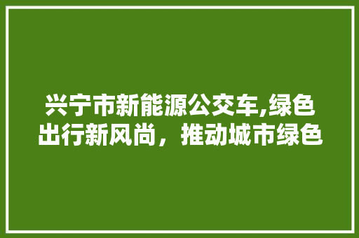 兴宁市新能源公交车,绿色出行新风尚，推动城市绿色发展