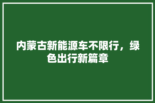 内蒙古新能源车不限行，绿色出行新篇章