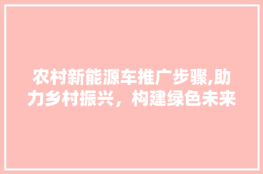 农村新能源车推广步骤,助力乡村振兴，构建绿色未来