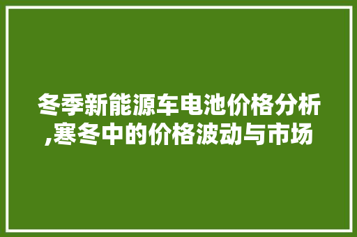 冬季新能源车电池价格分析,寒冬中的价格波动与市场趋势