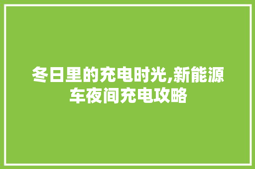 冬日里的充电时光,新能源车夜间充电攻略