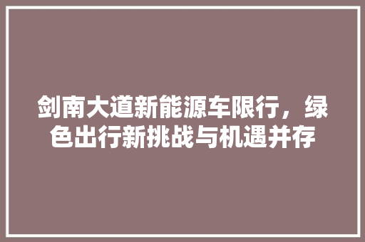 剑南大道新能源车限行，绿色出行新挑战与机遇并存