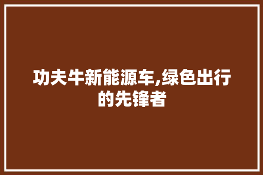 功夫牛新能源车,绿色出行的先锋者