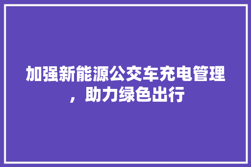 加强新能源公交车充电管理，助力绿色出行