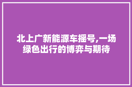 北上广新能源车摇号,一场绿色出行的博弈与期待