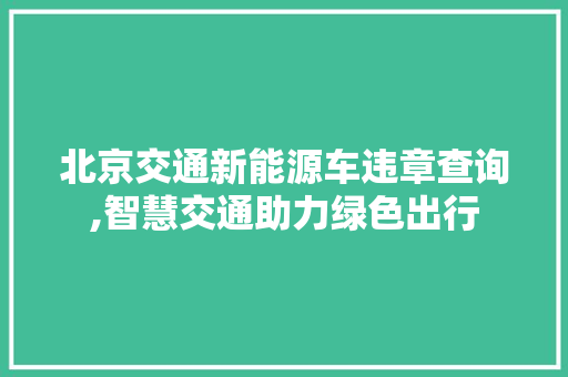 北京交通新能源车违章查询,智慧交通助力绿色出行