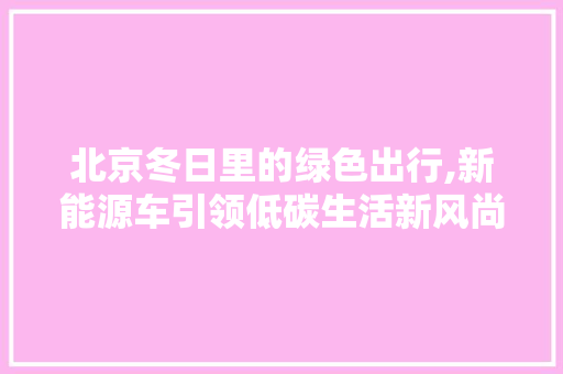 北京冬日里的绿色出行,新能源车引领低碳生活新风尚