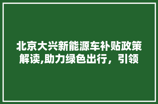 北京大兴新能源车补贴政策解读,助力绿色出行，引领行业发展