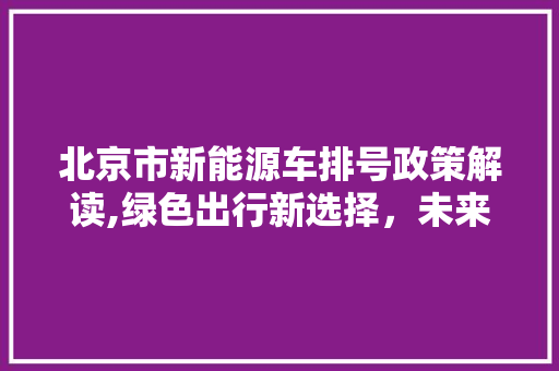 北京市新能源车排号政策解读,绿色出行新选择，未来交通新篇章