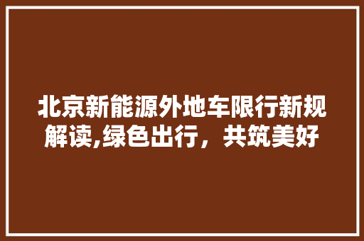北京新能源外地车限行新规解读,绿色出行，共筑美好未来