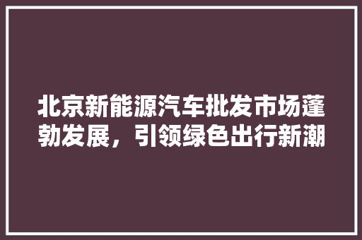 北京新能源汽车批发市场蓬勃发展，引领绿色出行新潮流