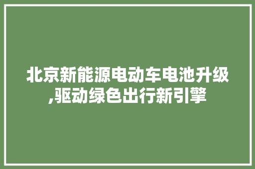 北京新能源电动车电池升级,驱动绿色出行新引擎