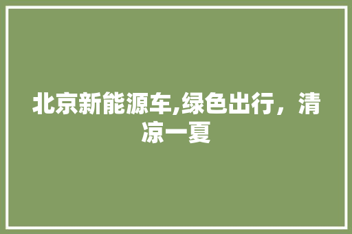 北京新能源车,绿色出行，清凉一夏