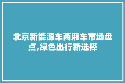 北京新能源车两厢车市场盘点,绿色出行新选择