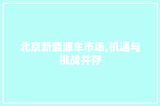 北京新能源车市场,机遇与挑战并存