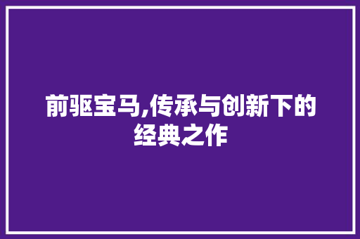 前驱宝马,传承与创新下的经典之作