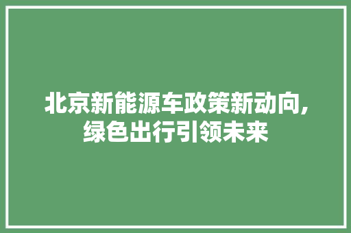 北京新能源车政策新动向,绿色出行引领未来