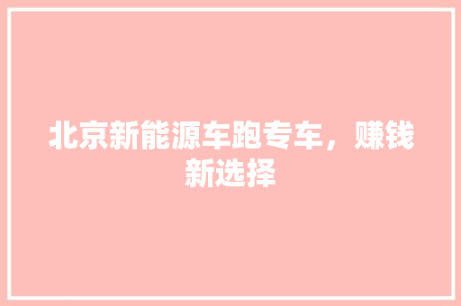 北京新能源车跑专车，赚钱新选择
