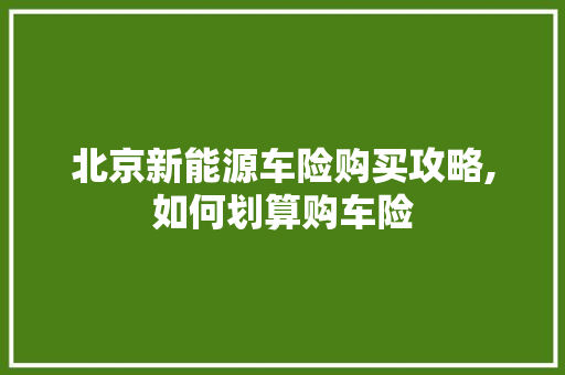 北京新能源车险购买攻略,如何划算购车险 汽车配件