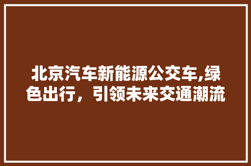 北京汽车新能源公交车,绿色出行，引领未来交通潮流