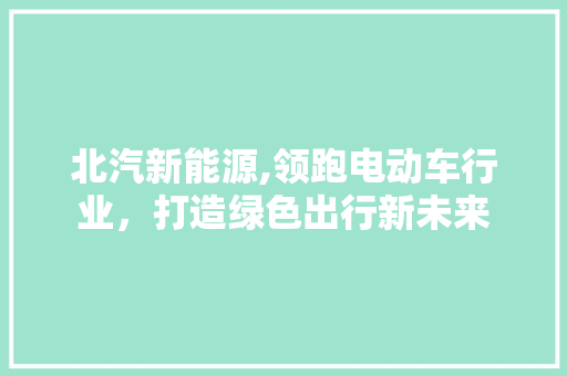 北汽新能源,领跑电动车行业，打造绿色出行新未来