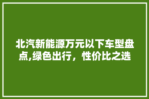 北汽新能源万元以下车型盘点,绿色出行，性价比之选