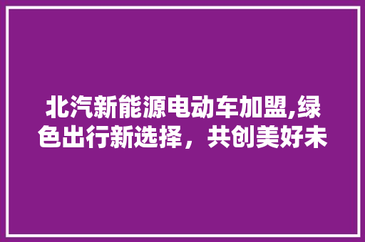 北汽新能源电动车加盟,绿色出行新选择，共创美好未来