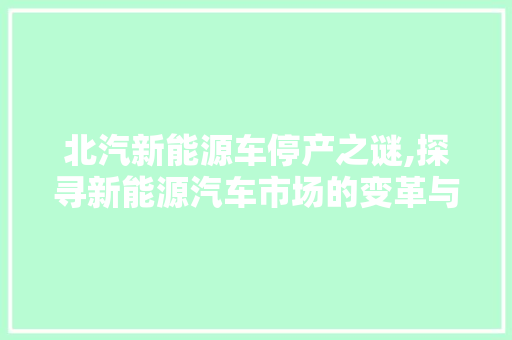 北汽新能源车停产之谜,探寻新能源汽车市场的变革与挑战
