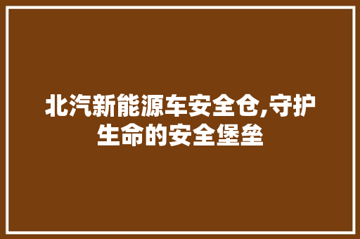北汽新能源车安全仓,守护生命的安全堡垒 新款车型