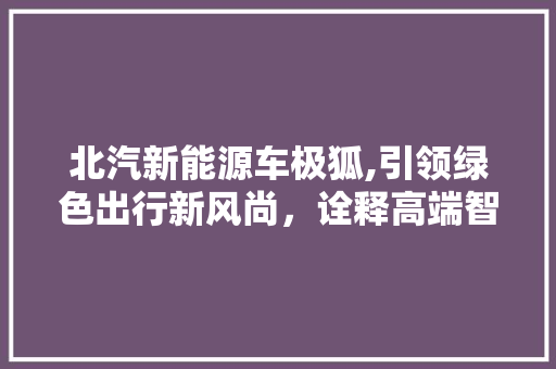 北汽新能源车极狐,引领绿色出行新风尚，诠释高端智能化体验 新能源汽车